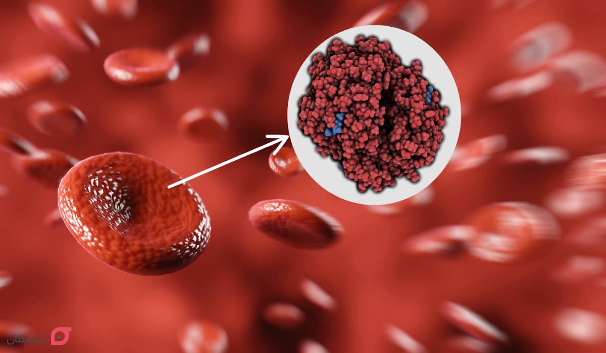 برای کم خونی چی بخوریم | درمان کم خونی شدید با 12 غذا و نوشیدنی 3 برای کم خونی چی بخوریم