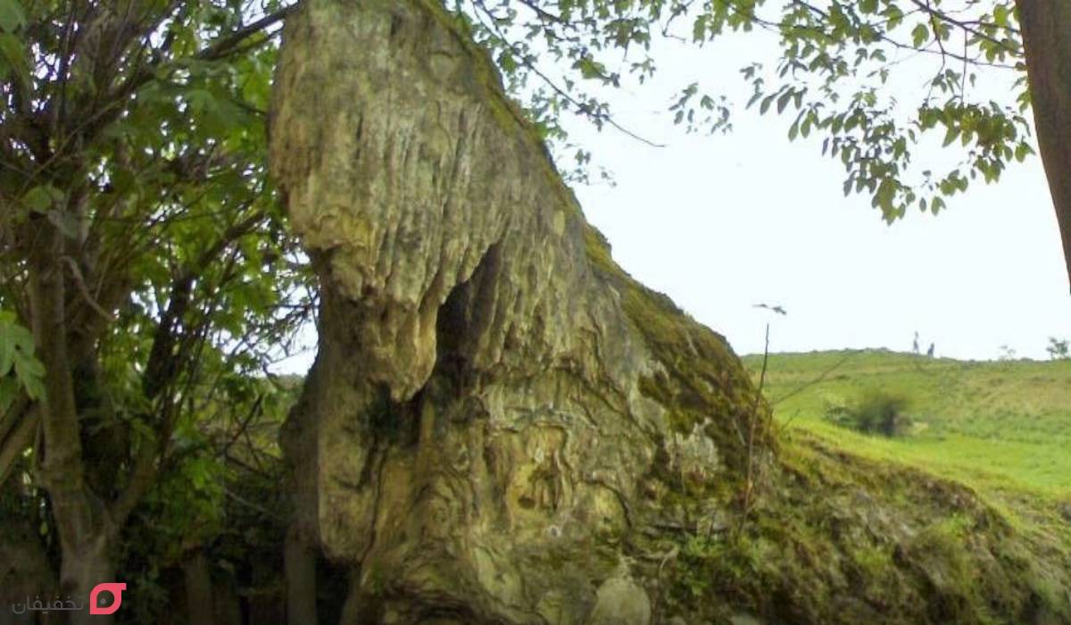 جاهای دیدنی نور مازندران؛ عکس و آدرس 18 مکان تاریخی و طبیعی 13 جاهای دیدنی نور