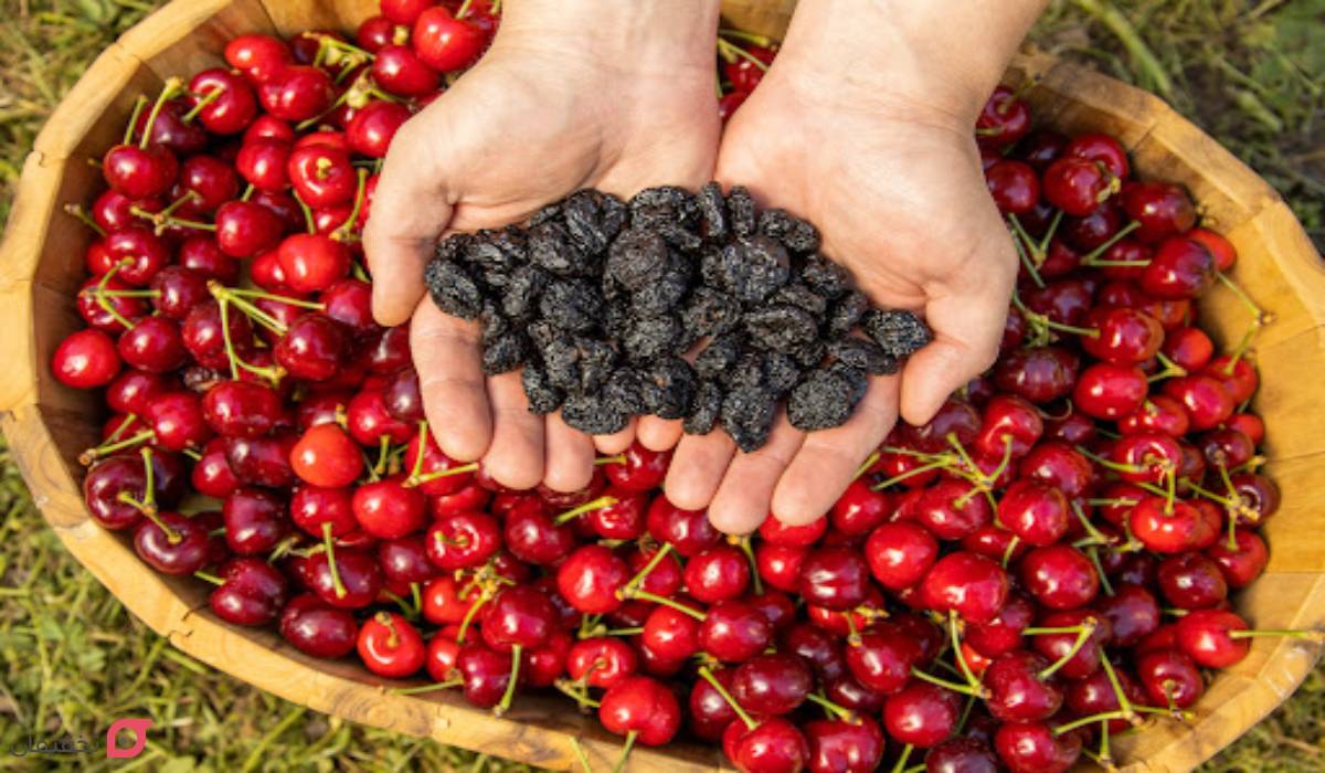 خواص گیلاس برای کم خونی