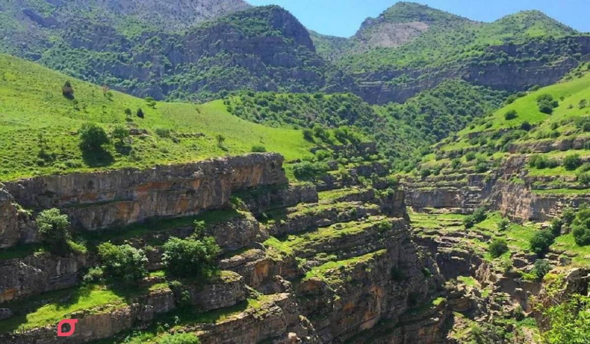 دشت ارغوان مشهد