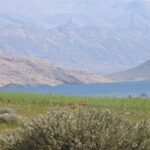 دشت ارژن شیراز کجاست | مسیر دسترسی | امکانات | عکس دیدنی ها 25 دشت ارژن شیراز