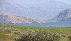 دشت ارژن شیراز کجاست | مسیر دسترسی | امکانات | عکس دیدنی ها