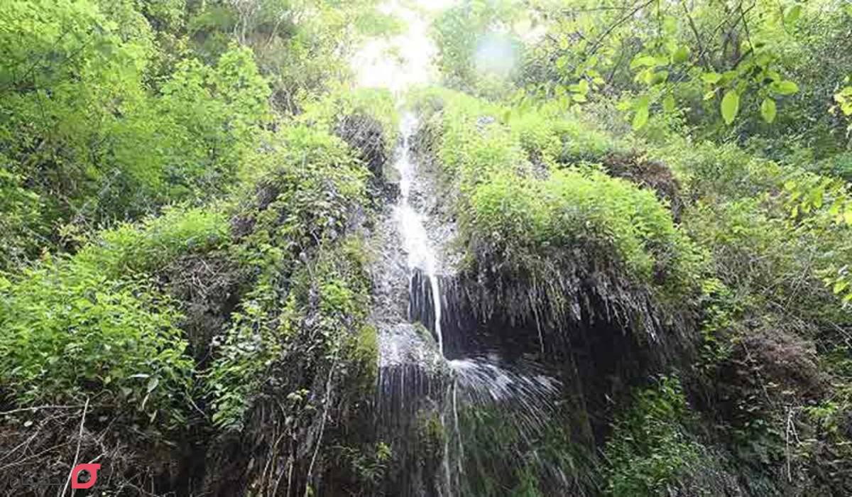 جاهای دیدنی نور مازندران؛ عکس و آدرس 18 مکان تاریخی و طبیعی 6 آبشار سیسنگان