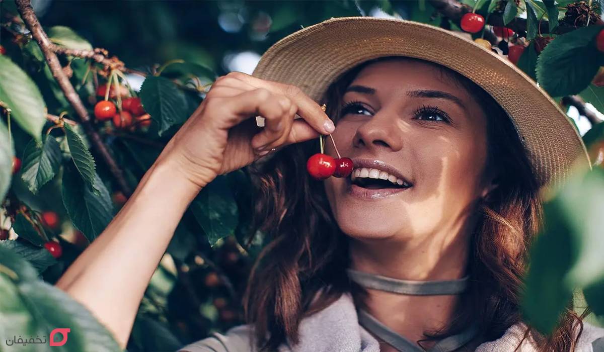 خواص گیلاس چیست | فواید شگفت انگیز برای کبد، کم خونی و چشم 7 خواص گیلاس