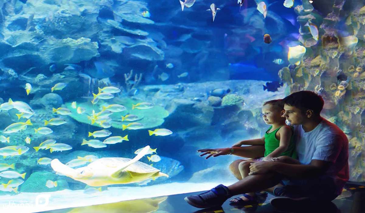 جاهای دیدنی کیش؛ 25 جای تفریحی و تاریخی کیش 9 جاهای دیدنی کیش