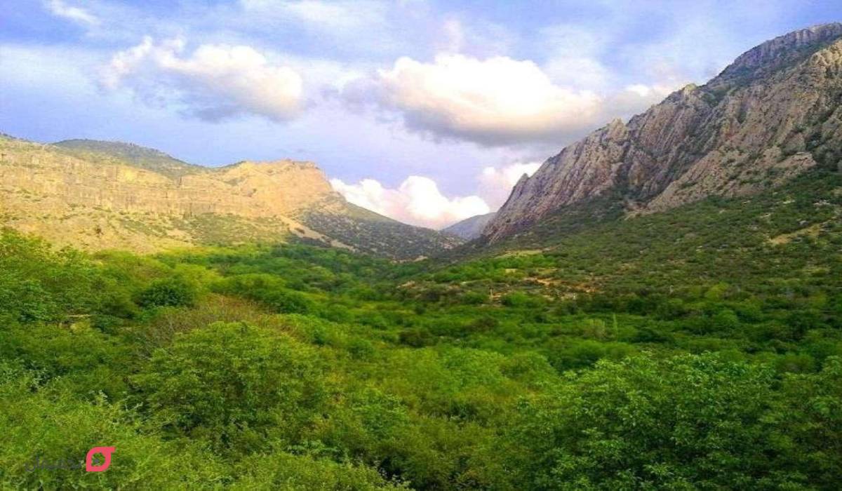 دشت ارژن شیراز کجاست؟
