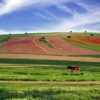 جاهای دیدنی شاهرود