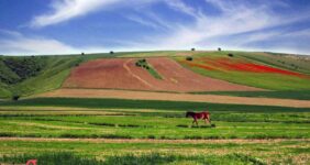 جاهای دیدنی شاهرود