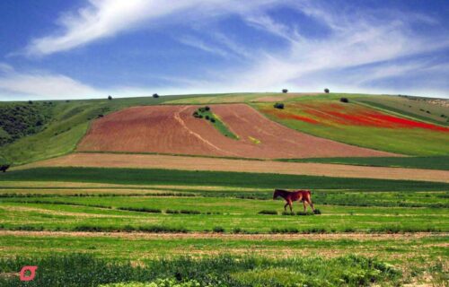 جاهای دیدنی شاهرود