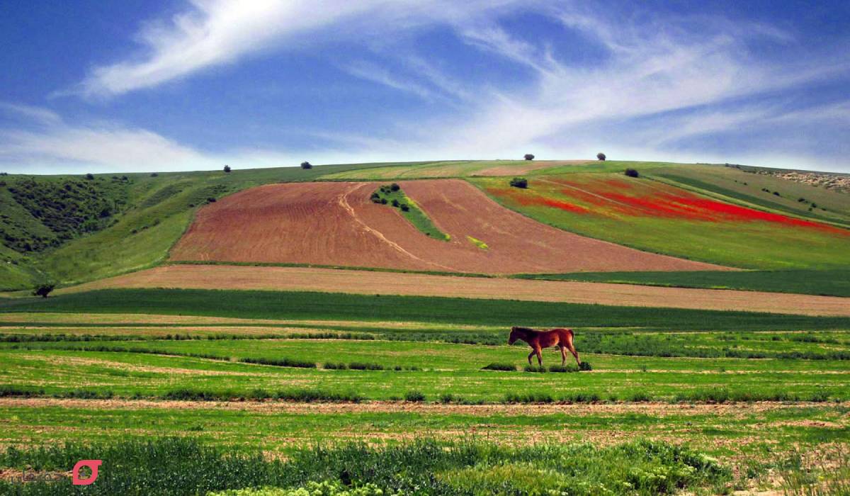 جاهای دیدنی شاهرود
