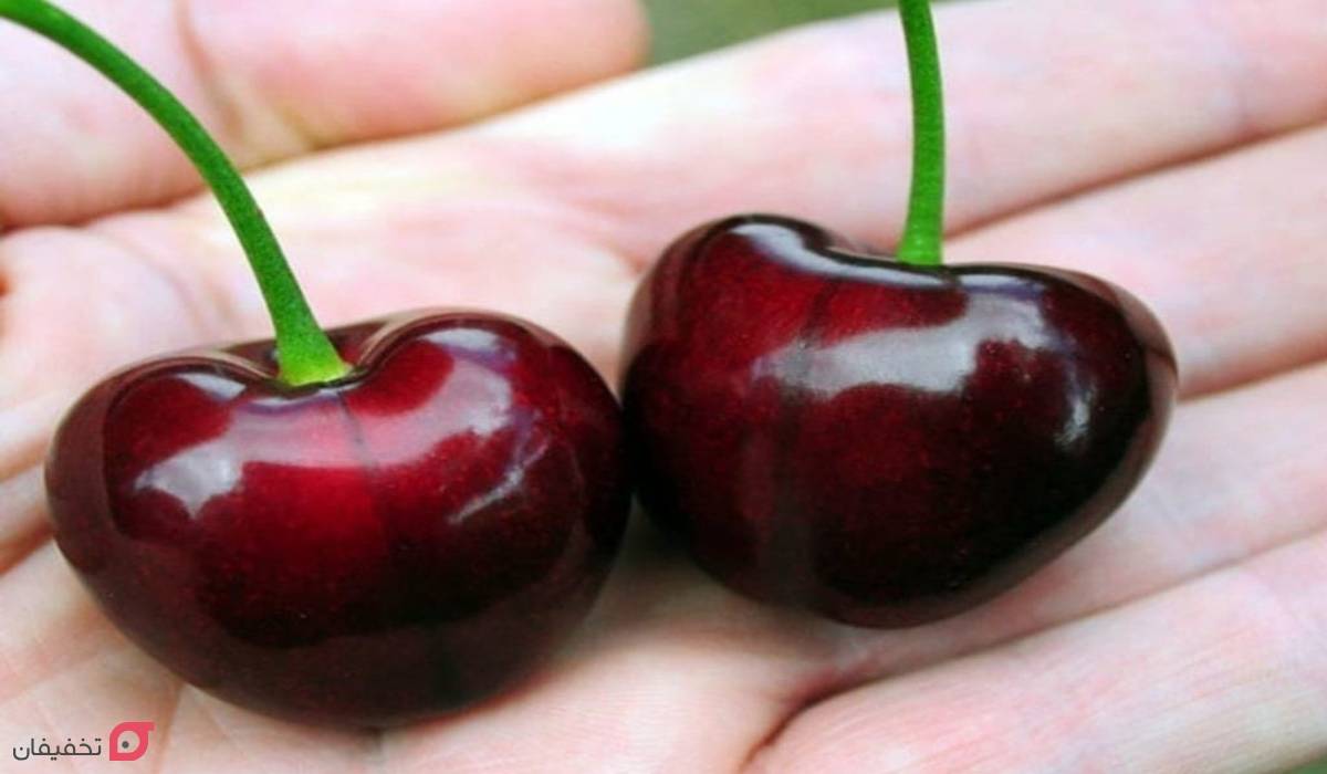 خواص گیلاس چیست | فواید شگفت انگیز برای کبد، کم خونی و چشم 5 فواید خوردن گیلاس ناشتا