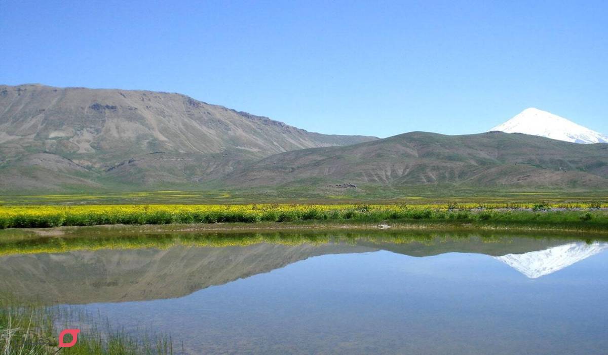دشت لار