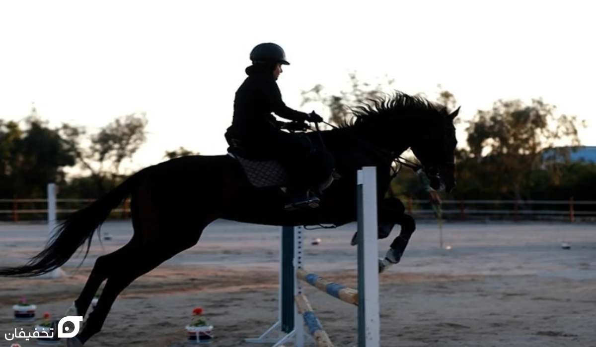 جاهای دیدنی کیش؛ 25 جای تفریحی و تاریخی کیش 17 جاهای دیدنی کیش