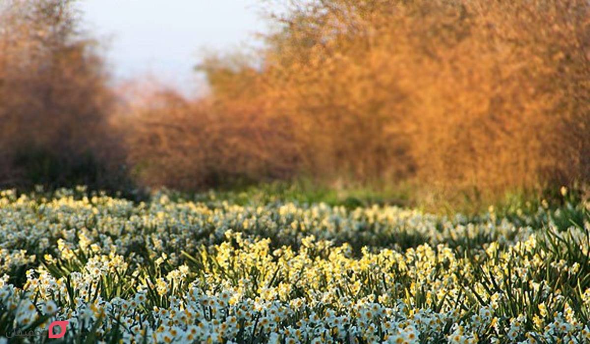 دشت های ایران | عکس و آدرس 10 دشت زیبا و وسیع برای طبیعتگردی 6 دشت های ایران