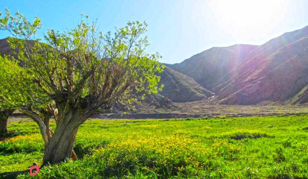 دشت های ایران | عکس و آدرس 10 دشت زیبا و وسیع برای طبیعتگردی