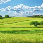 دشت های ایران | عکس و آدرس 10 دشت زیبا و وسیع برای طبیعتگردی 22 دشت های ایران