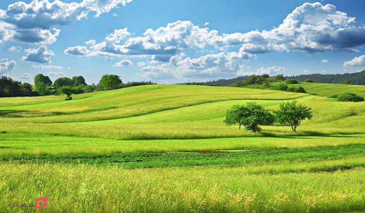 دشت های ایران