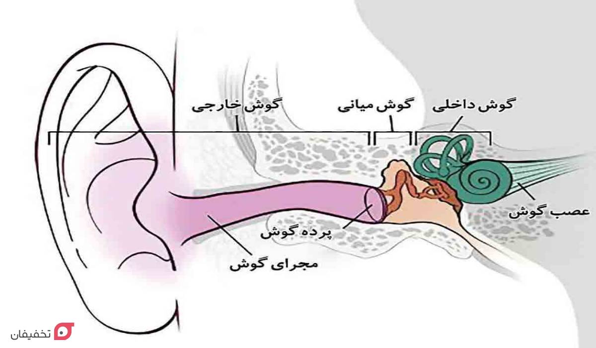 علت کیپ شدن گوش چیست؟