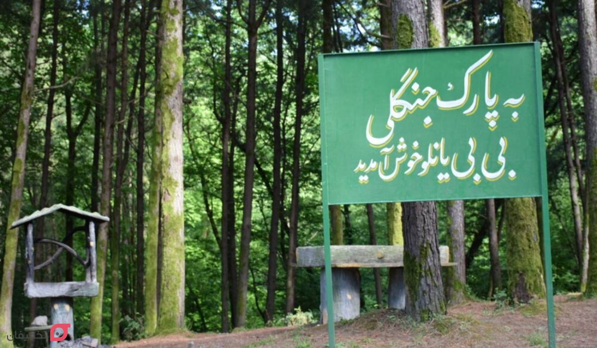 پارک جنگلی بی‌ بی ‌یانلو