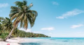 زیباترین سواحل دنیا