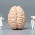 طرحواره چیست و انواع آن کدامند | به زبان ساده و با 22 مثال 18 طرحواره ها چیست