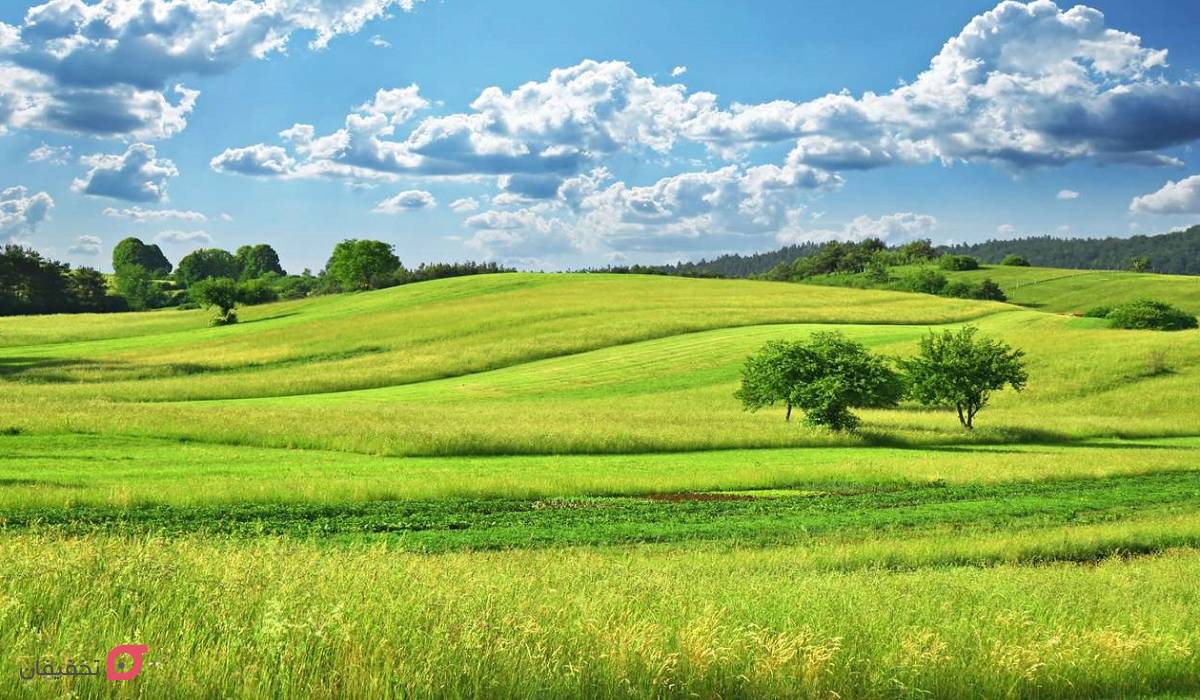 دشت مغان اردبیل کجاست؟