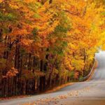 جاهای دیدنی اطراف تهران در پاییز | سفر یک روزه کجا بریم؟ 30 جاهای دیدنی اطراف تهران در پاییز