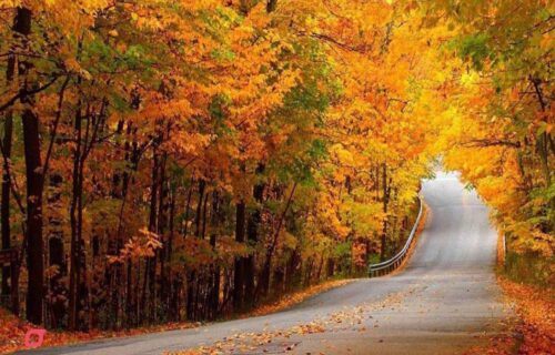 جاهای دیدنی اطراف تهران در پاییز | سفر یک روزه کجا بریم؟ 20 جاهای دیدنی اطراف تهران در پاییز