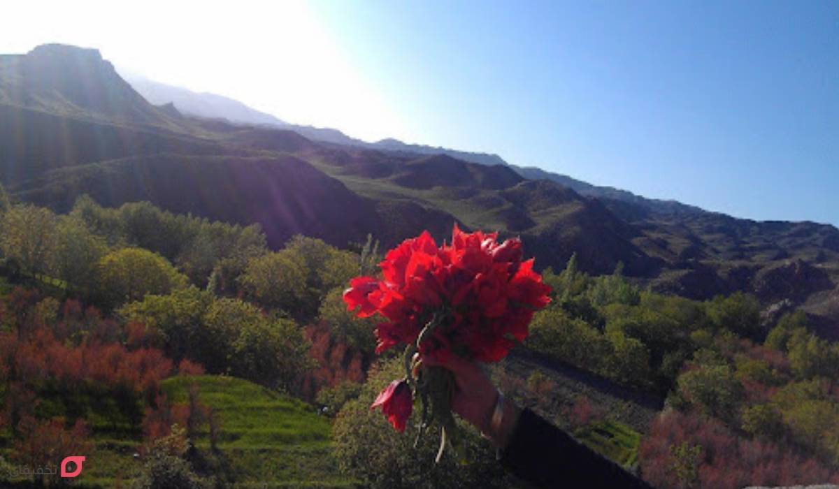 روستای دلبر