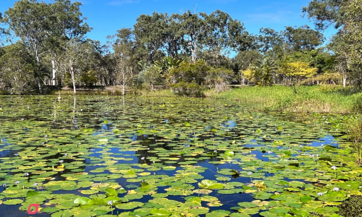 جاهای دیدنی چالوس | 12 جاذبه تفریحی چالوس و جاده های اطراف 6 مرداب کندوچال