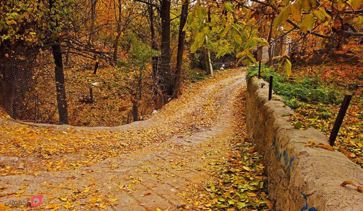 روستای افجه