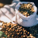 قهوه عربیکا چیست | طعم و خواص | طریقه مصرف + مقدار کافئین 96 قهوه عربیکا