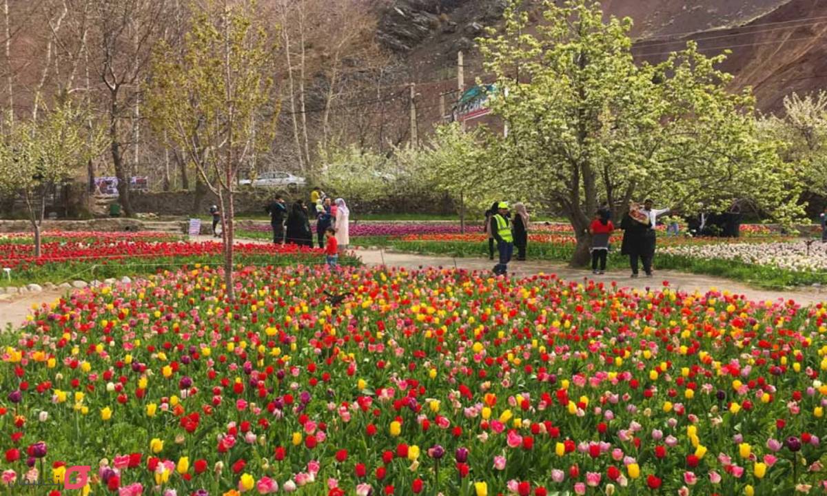 جاهای دیدنی چالوس | 12 جاذبه تفریحی چالوس و جاده های اطراف 5 روستای گچسر