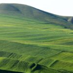 دشت مغان اردبیل | مسیر دسترسی | جاهای دیدنی | سوغات + عکس 31 دشت مغان اردبیل