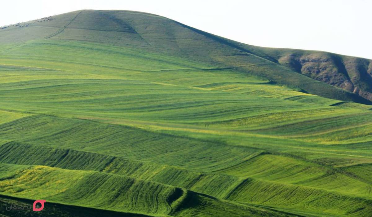 دشت مغان اردبیل