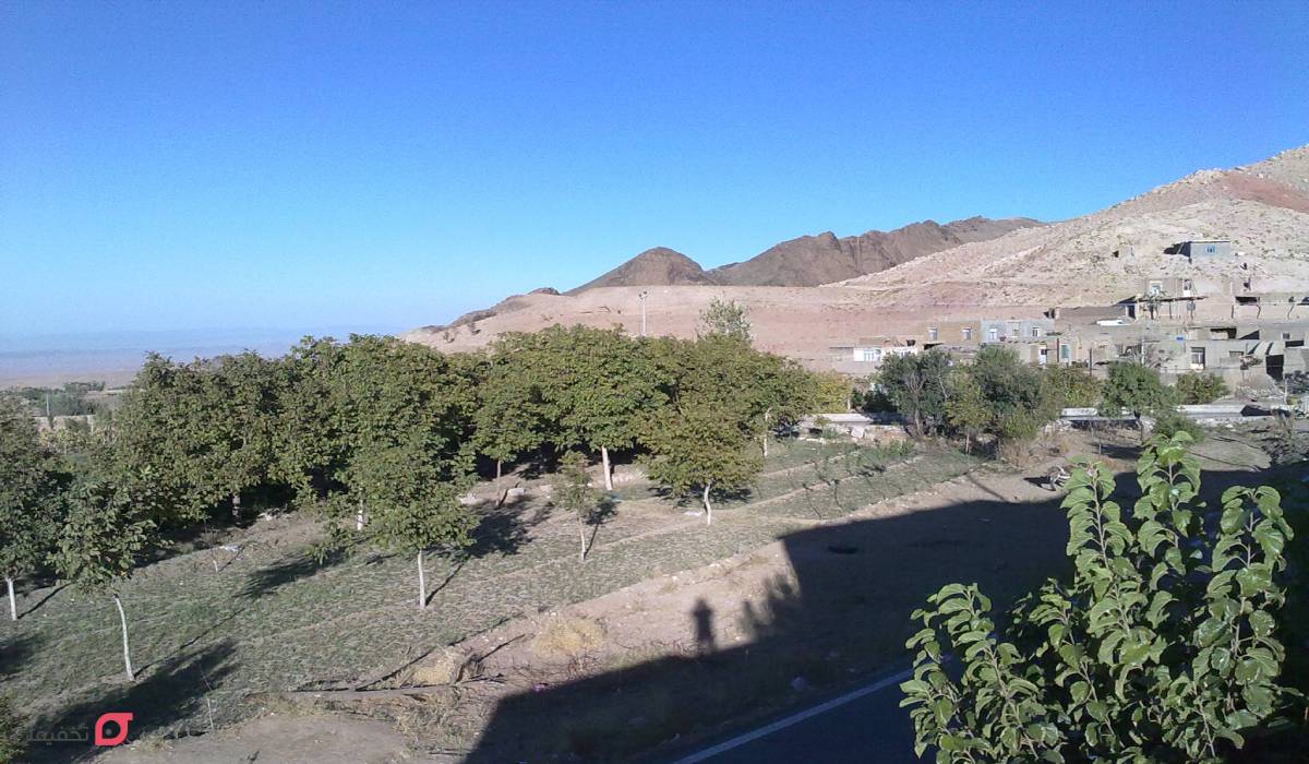 روستای افشنگ