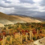 روستای برغان کرج | آدرس دقیق + مسیر دسترسی | جاهای تفریحی 30 روستای برغان