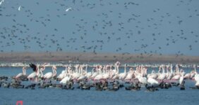 تالاب گمیشان