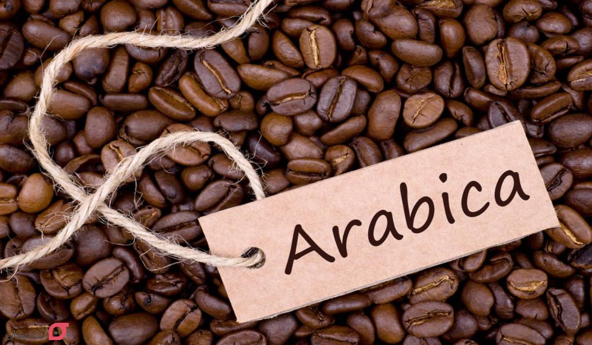 خواص قهوه عربیکا برای لاغری