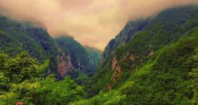 زیباترین جنگل های ایران