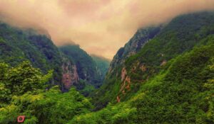 زیباترین جنگل های ایران | ۱۳ جنگل پاییزی معروف برای کمپ