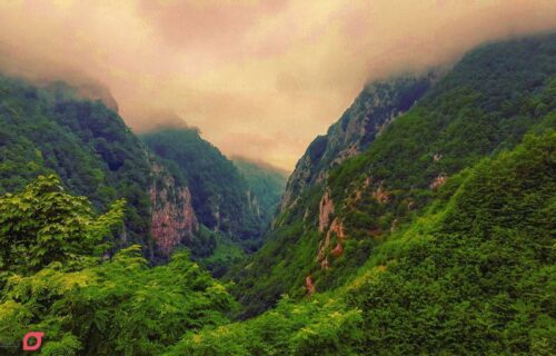 زیباترین جنگل های ایران