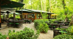 کافه های غرب تهران با فضای باز