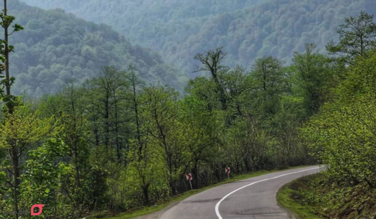 جنگل سیاهکل