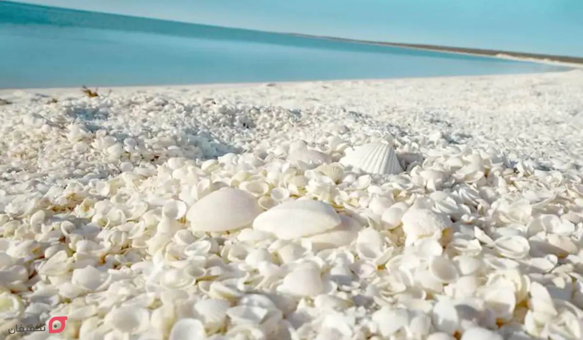 جاهای دیدنی گیلان همراه با عکس و آدرس در زمستان و بهار 13 جاهای دیدنی گیلان در پاییز