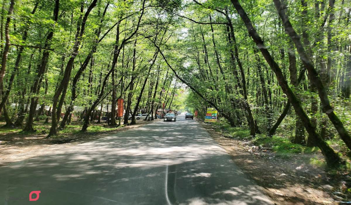 جاهای دیدنی گیلان همراه با عکس و آدرس در زمستان و بهار 3 جاهای دیدنی گیلان