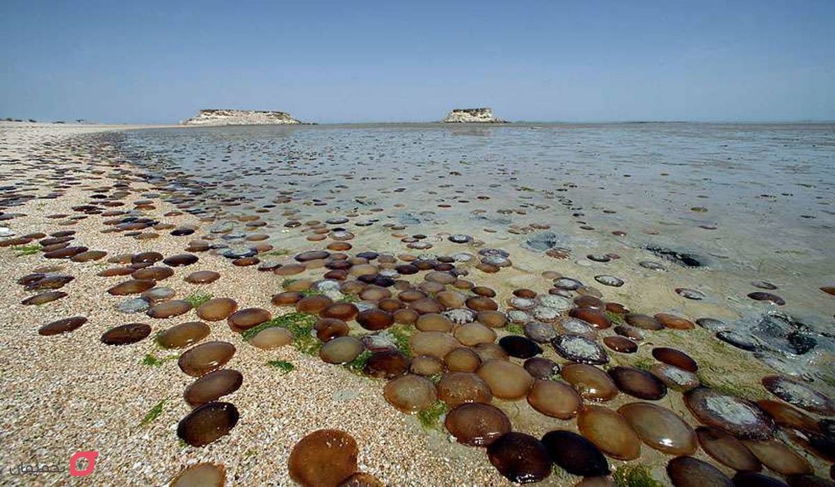 جاهای دیدنی قشم در زمستان