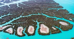 جاهای دیدنی قشم در زمستان