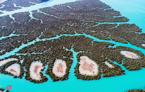 جاهای دیدنی قشم در زمستان