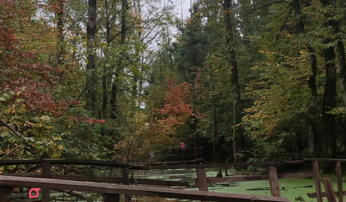 جاهای دیدنی گیلان همراه با عکس و آدرس در زمستان و بهار 9 جاهای دیدنی گیلان در تابستان